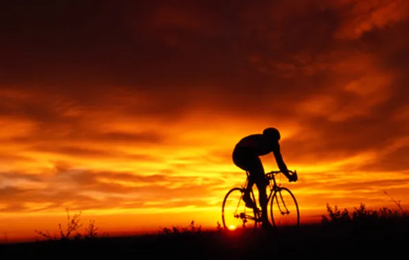 Picture field, the evening, cyclist