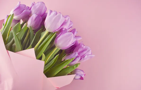 Picture bouquet, tulips, pink