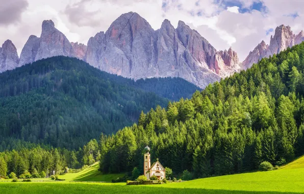 Greens, field, forest, summer, clouds, landscape, mountains, rocks