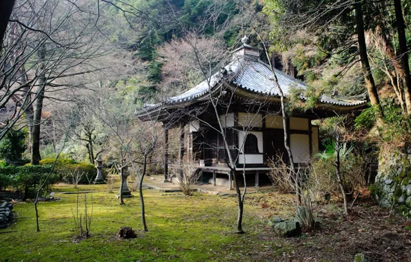 Picture roof, trees, temple, Japan