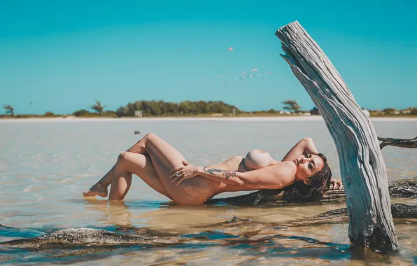 Sea, beach, chest, look, the sun, landscape, sexy, pose