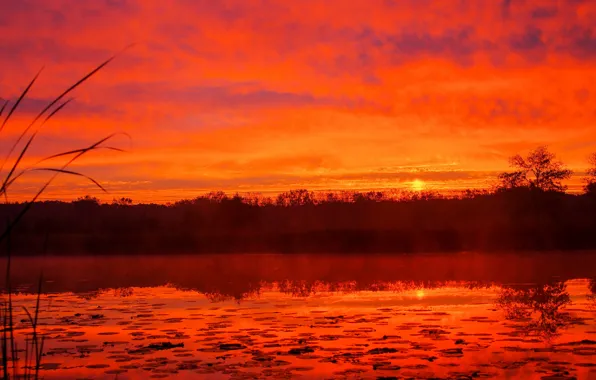 The sky, clouds, trees, sunset, fog, lake, glow