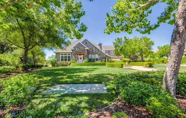 Greens, summer, the sky, grass, the sun, trees, lawn, home