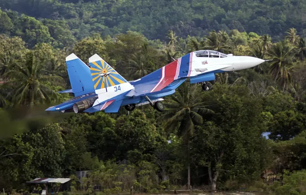 Picture fighter, Sukhoi, multipurpose, Su-30SM