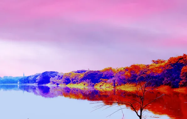 Sun, Water, Sunrise, Dawn, Morning, Lake, Trees, Reflection