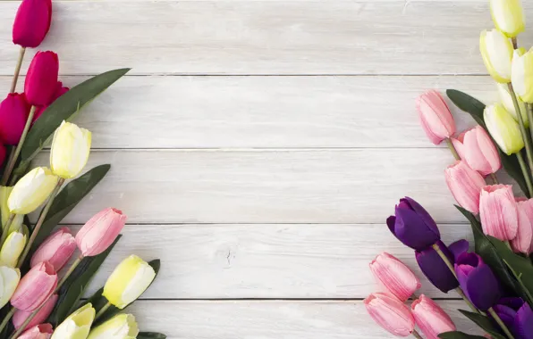 Picture flowers, background, bouquet, spring, tulips