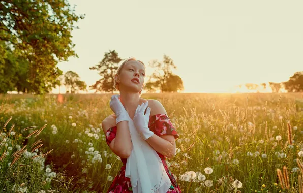 Field, girl, nature, pose, dress, neckline, gloves, shoulders