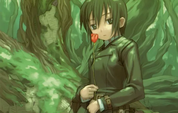 Tree, Tulip, moss, jacket, bark, art, kino no tabi, in the woods