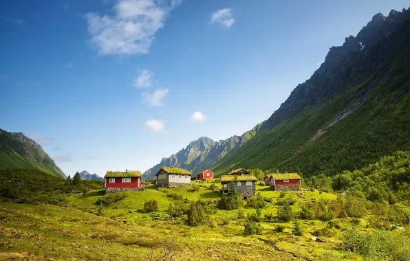 Picture summer, landscape, mountains, houses