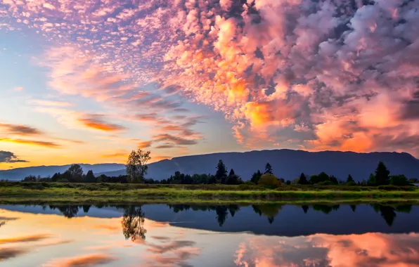 The sky, clouds, trees, river, Canada, British Columbia, Canada