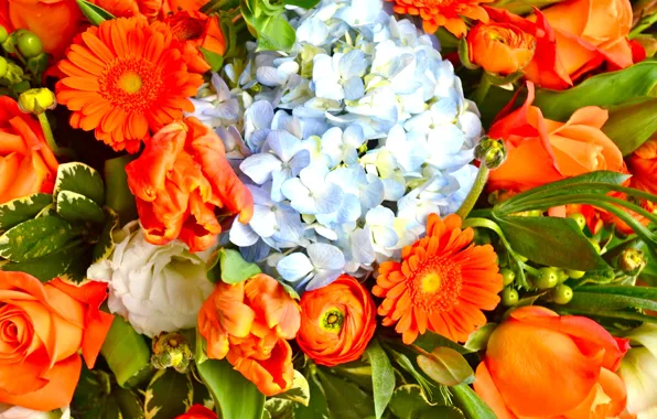 Wallpaper nature, petals, bouquet, leaves