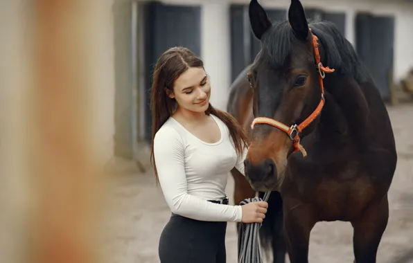 Girl, smile, horse, horse, blouse, brown hair, is, friends