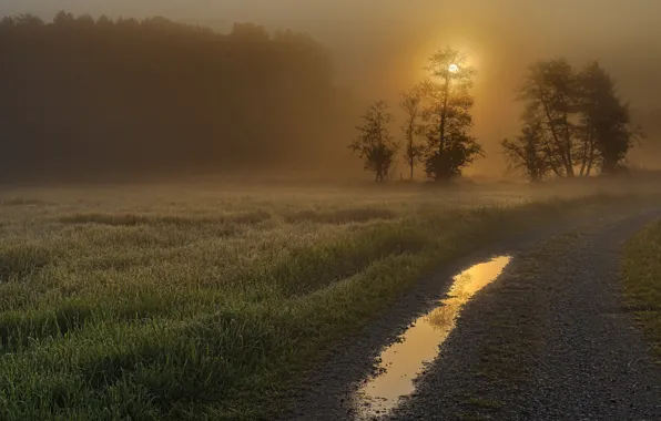 Road, sunset, fog
