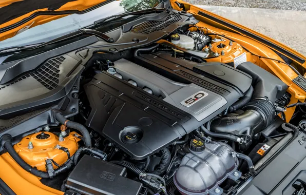 Engine, Ford, 2018, fastback, Mustang GT 5.0
