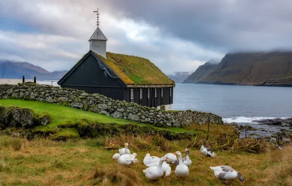 Sea, grass, clouds, mountains, birds, nature, stones, rocks
