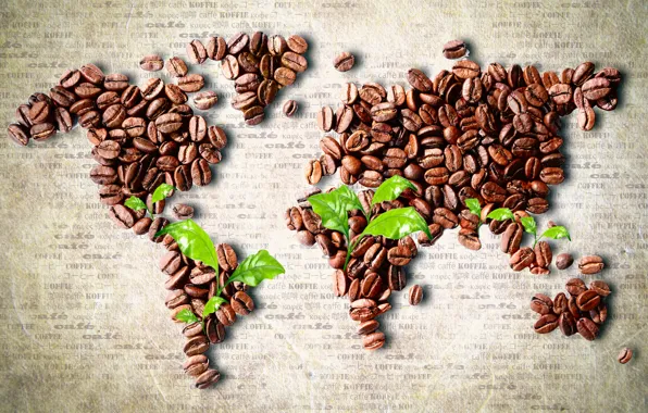 Leaves, coffee, map, grain, continents