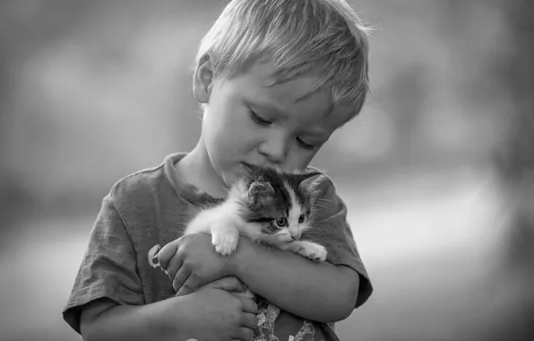 Love, mood, boy, black and white, friendship, kitty, friends, monochrome