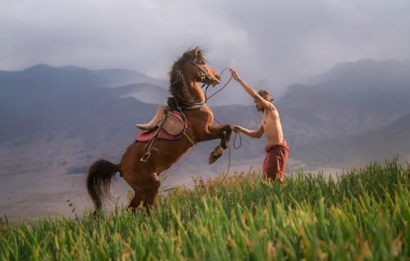 Picture grass, mountains, fog, man, hill, slope, horse, training