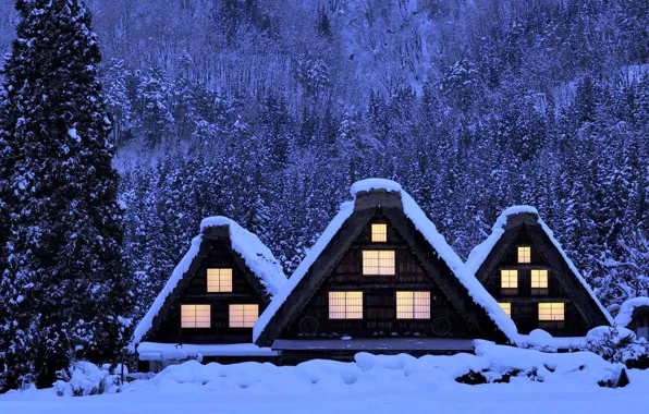 Picture winter, snow, house, Japan, Shirakawa-go