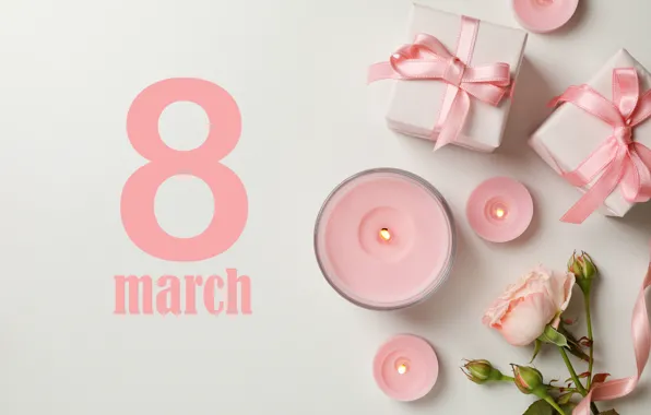 Flowers, gift, rose, candles, rose, happy, March 8, pink