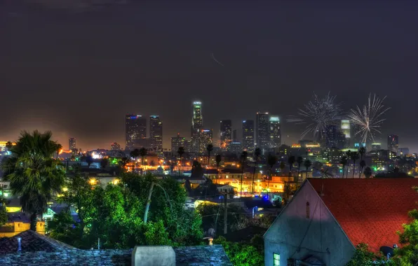 The sky, trees, night, lights, palm trees, home, skyscrapers, salute