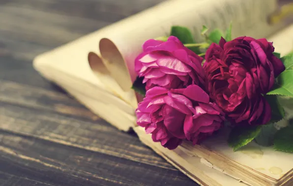 Picture vintage, wood, flowers, beautiful, peonies, purple, book, peony