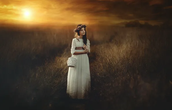 Field, girl, sunset