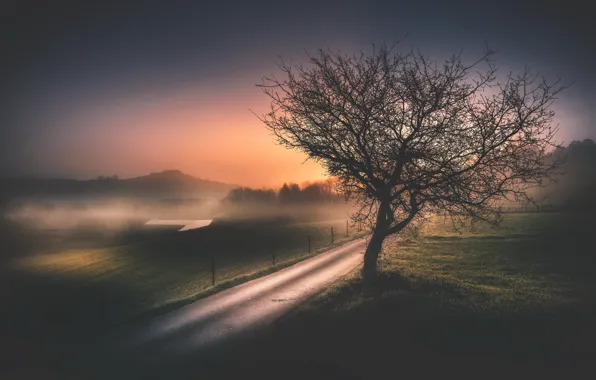 Picture road, night, fog