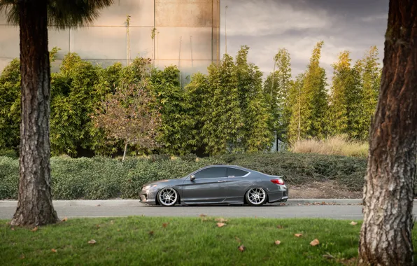 Profile, Honda, silver, Honda, coupe, accord, chord, stance