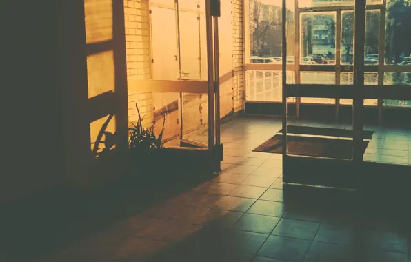 Light, inside, doors