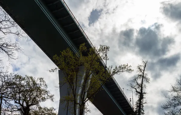 The sky, the sun, light, trees, clouds, overpass, Russia, architecture