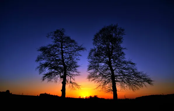 The sky, trees, sunset, silhouette, glow