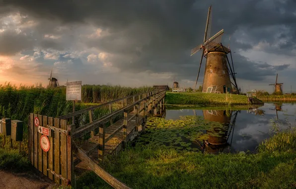 The sky, landscape, clouds, nature, pond, mill, grass, Netherlands