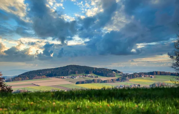 Picture greens, field, autumn, forest, the sky, clouds, clouds, blue