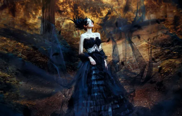 Forest, style, model, dress, Ronny Garcia, Black Swan, Aileen Zygier