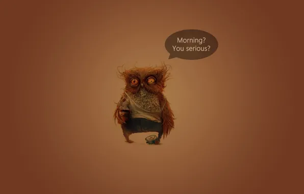 Owl, coffee, morning, morning, serious, seriously