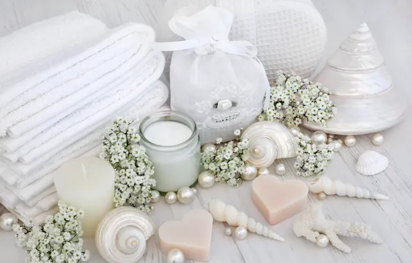 Picture flowers, soap, shell, flowers, bath, still life, candle, spa