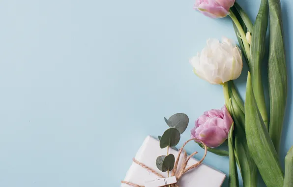 Flowers, background, spring, Tulips, Gift