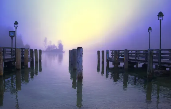 Picture forest, trees, lake, Marina, morning, lights, haze