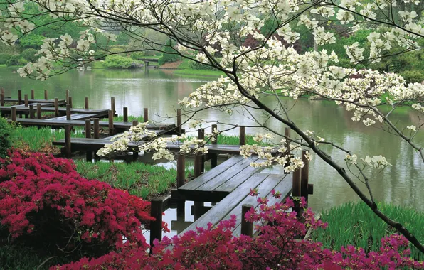 Water, flowers, Japan, garden, bridges