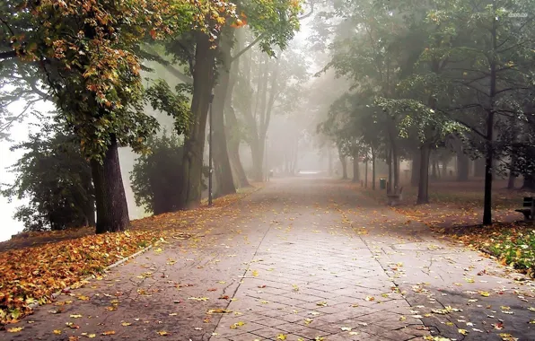 Picture road, autumn, fog, Park