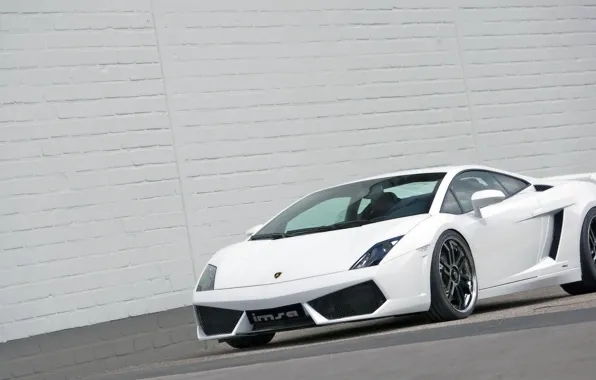 2008, sports car, LP560, Lamborghini Gallardo, sports car, IMSA