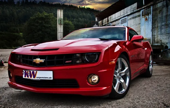 Machine, lights, wheel, beautiful, drives, camaro, shevrolet
