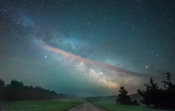 Road, the sky, stars, trees, night, field, the milky way, forest