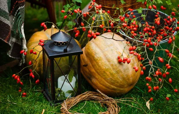 Autumn, leaves, berries, harvest, pumpkin, autumn, leaves, pumpkin