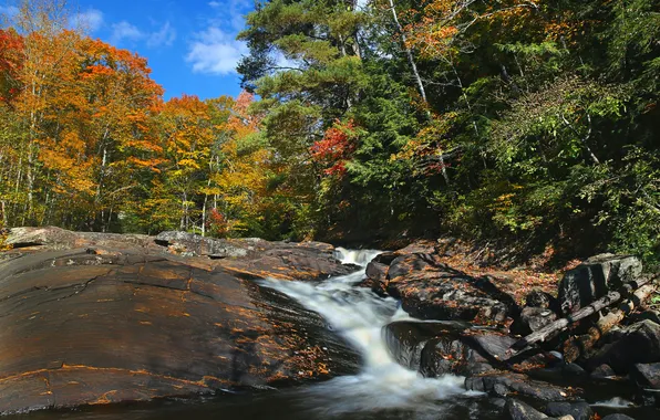Autumn, forest, trees, river, rocks, stream, Canada, Ontario