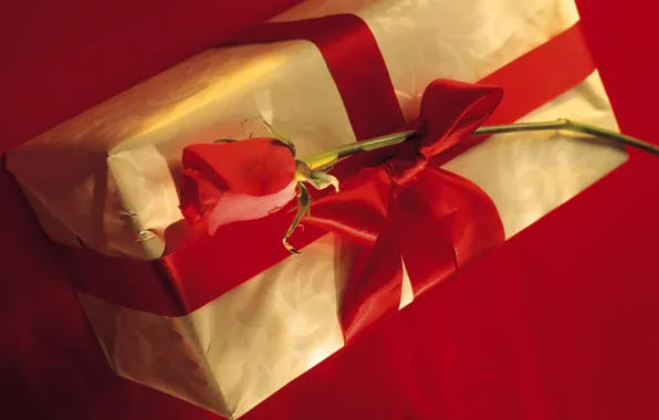 Picture flower, red, mood, holiday, box, gift, rose, color