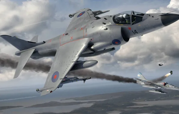 Figure, fighter-bomber, Douglas, British Aerospace, FRS.1, downed, vertical take-off and landing, Argentine aircraft