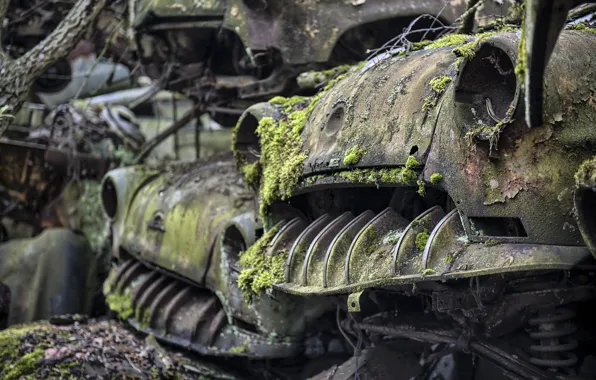 Machine, moss, scrap