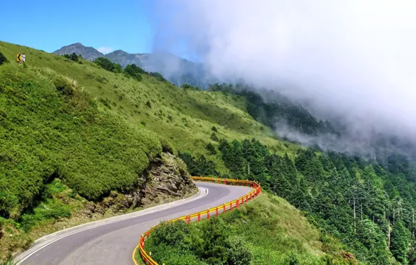 Picture road, trees, nature, mountains